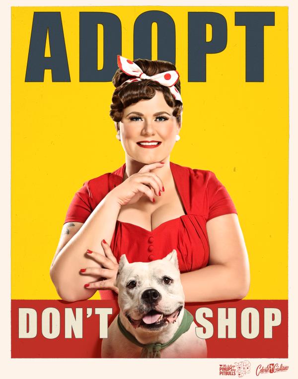 /Images/uploads/Pinups for Pitbulls/greatestpits/entries/13085thumb.jpg